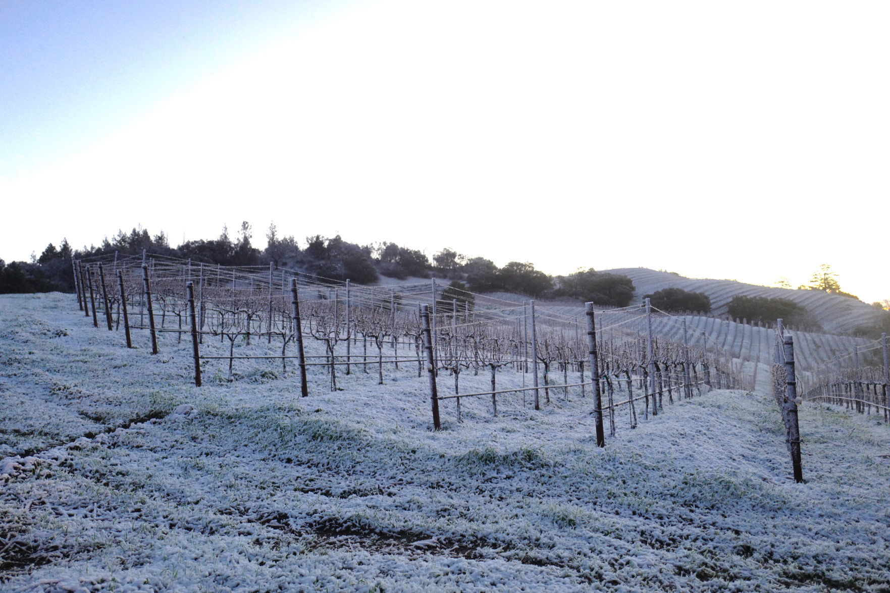 From Our Readers: Snow in Napa Valley